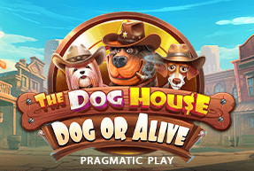 Dog House: Dog or Alive